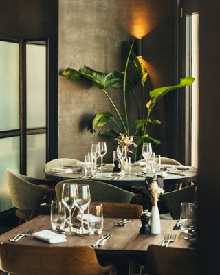 Terrass'' Rooftop Bar by null