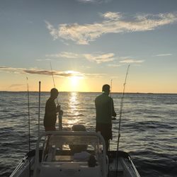 Apopka Marine