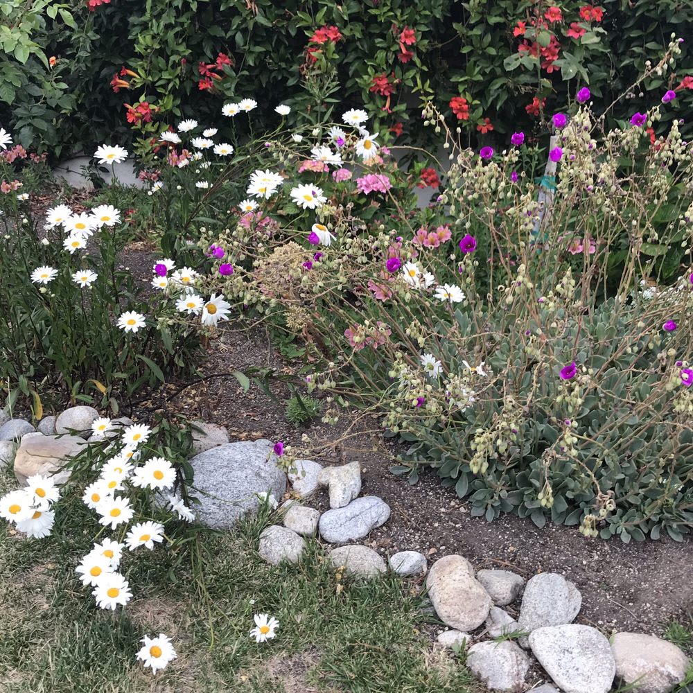 Folktale Winery - Beautiful gardens - Wineries Near Me - Carmel, California Folktale Winery - Beautiful gardens - Wineries Near Me - Carmel, California