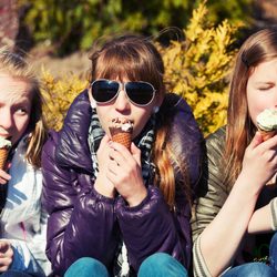 Flavor Freeze North - Enjoy Flavor Freeze with your friends!