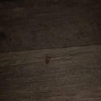 Econo Lodge - Floor crawling around - Hotels Near Me - Georgetown, South Carolina