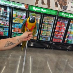 Pet Supplies Plus - Waite Park