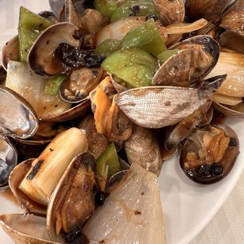 Seafood Cove 2 - Clams in black bean sauce ($23.95) - Dim Sum Near Me - Westminster, California Seafood Cove 2 - Clams in black bean sauce ($23.95) - Dim Sum Near Me - Westminster, California