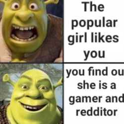 20 After 4 Smoke Shop - When you find our your crush id a gamer and redditor