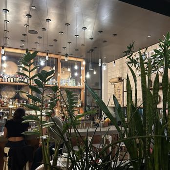 Terra - Beautiful greenery decor - Italian Near Me - Boston, Massachusetts