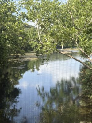 Kerbey Lane Cafe by null