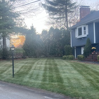 MC Tree Services and Landscaping - Landscaping Near Me MC Tree Services and Landscaping - Landscaping Near Me