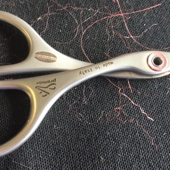 KEKOA Outdoors - High end scissors that they carry. - Veterans Organizations Near Me KEKOA Outdoors - High end scissors that they carry. - Veterans Organizations Near Me
