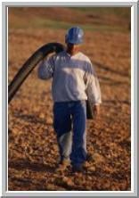 Slide of Ken Burns Sanitation