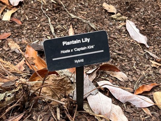 Nashville Zoo at Grassmere by null