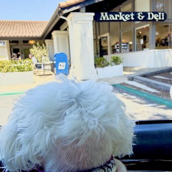 Jaybird Superette - Jaybird Superette Market + Deli, free parking, outdoor seating, pup friendly - Cheese Shops Near Me - San Diego, California Jaybird Superette - Jaybird Superette Market + Deli, free parking, outdoor seating, pup friendly - Cheese Shops Near Me - San Diego, California