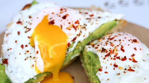 Volumes Bookcafe by null