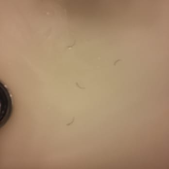 VIP Nail Salon - Eyelashes that fell out after i washed my face the next day - Nail Salons Near Me - Hanover, Maryland VIP Nail Salon - Eyelashes that fell out after i washed my face the next day - Nail Salons Near Me - Hanover, Maryland