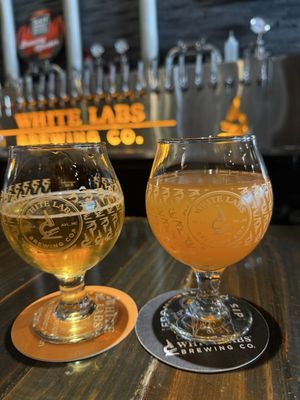 White Labs Brewing Co - San Diego by null