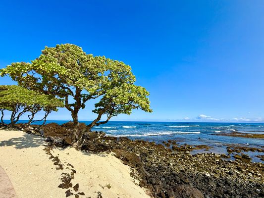 Four Seasons Resort Hualalai by null
