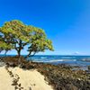 Four Seasons Resort Hualalai gift card