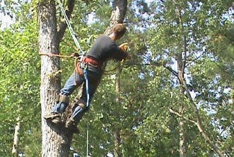 Jamie Swenson Tree Service - tree service in Richmond, VA