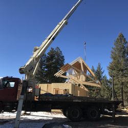 Conifer Crane