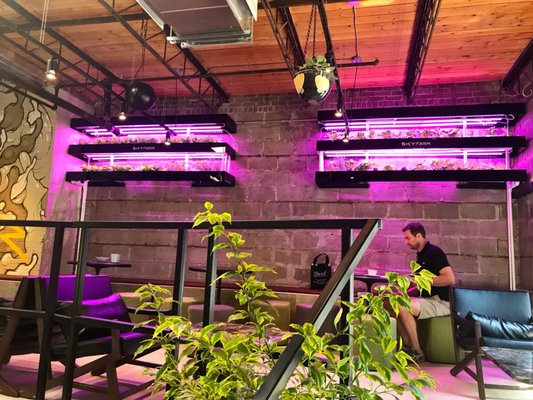 Café Saint-Henri (Villeray - Quartier Général) by null