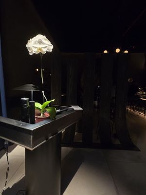 GOGYO Gramercy by null