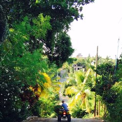Xolo Oasis - A great way to see the city, easy parking & fun for shopping too! lol :))