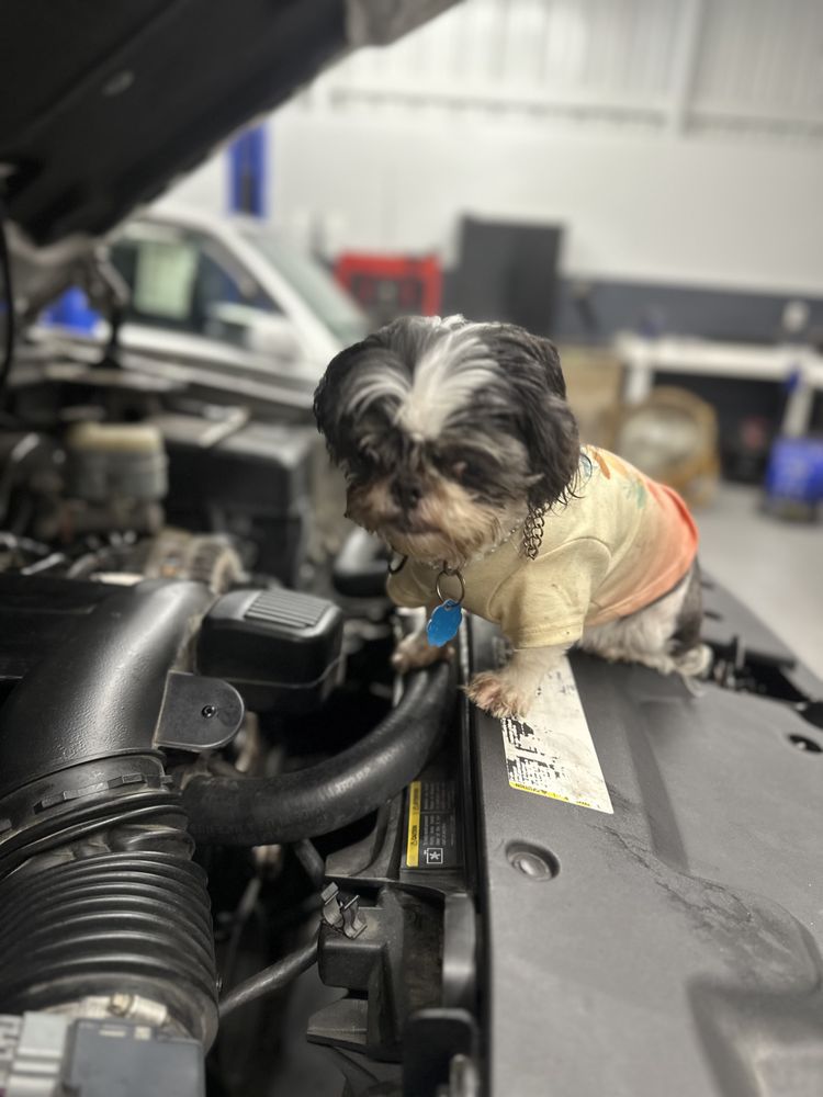 Jesses Mobile Mechanic