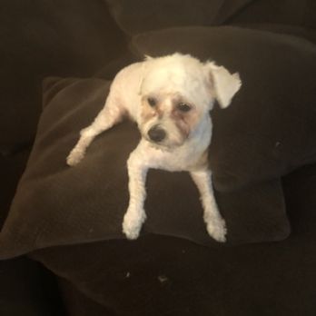 PetSmart - Pet Stores Near Me - Phoenix, Arizona