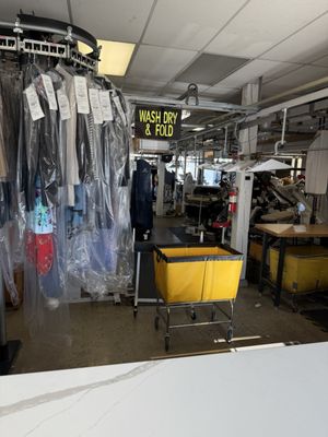 Morrell's Dry Cleaners