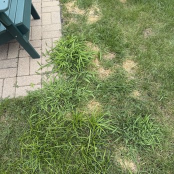 Bailey's Landscape Maintenance - Landscaping Near Me Bailey's Landscape Maintenance - Landscaping Near Me