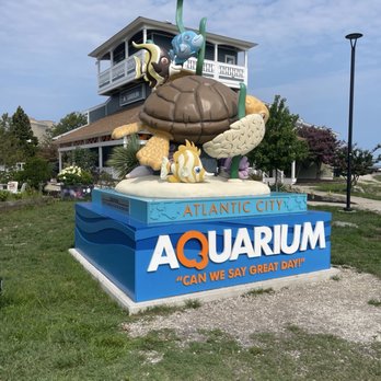 Atlantic City Aquarium - Aquariums Near Me - Atlantic City, New Jersey Atlantic City Aquarium - Aquariums Near Me - Atlantic City, New Jersey