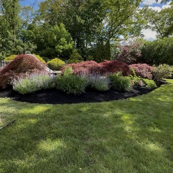 Samuel Land Services - 10 % off coupon for first time customers - Landscaping Near Me Samuel Land Services - 10 % off coupon for first time customers - Landscaping Near Me