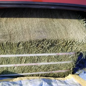 Romberg Mill - Very dense--careful cutting the plastic ties. It makes a loud pop and scared the beejeezus out of me lol. - Livestock Feed & Supply Near Me - Paramount, California