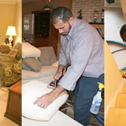 American Carpet & Restoration Cleaning Services - Our allergen removal services