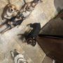 Arboga Kennels
