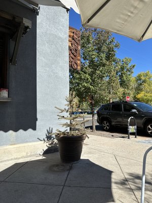 Steam Espresso Bar by null