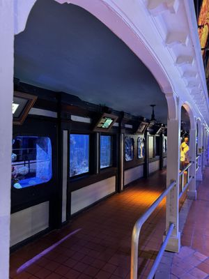 Key West Aquarium by null