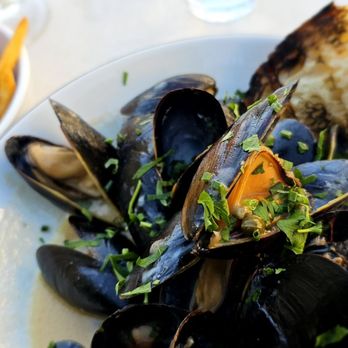Willa's - Mussels & Frites I finished every drop - New American Near Me - Tampa, Florida Willa's - Mussels & Frites I finished every drop - New American Near Me - Tampa, Florida