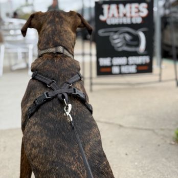 JAMES COFFEE - Updated March 2026 - 268 Photos & 177 Reviews - 341