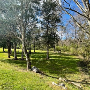 Charter Doyle PetSafe Dog Park - Dog Parks Near Me - Knoxville, Tennessee