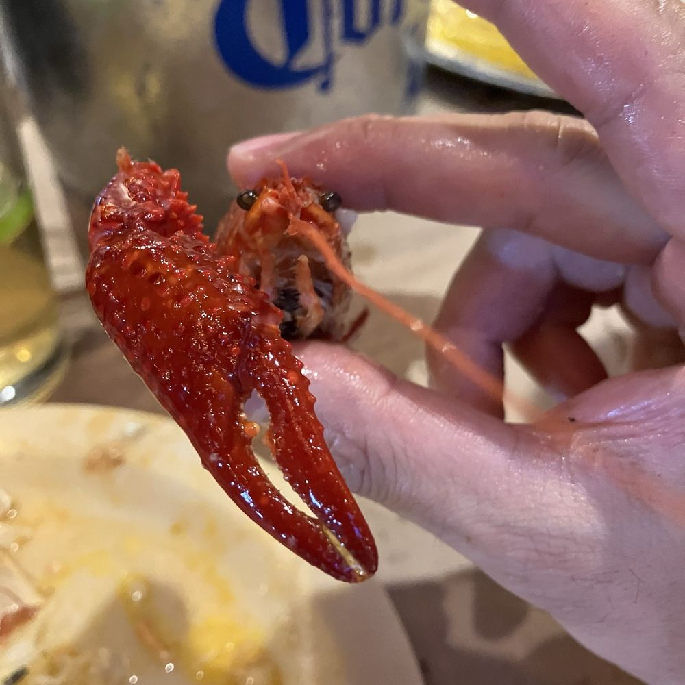 Hook & Reel Cajun Seafood & Bar Logo