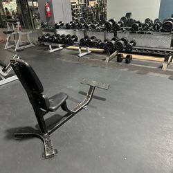 Gold's Gym - Mess of the free weights