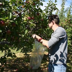 Willowbank U-Pick Farm - See the video of this place here https://youtu.be/zdW0b7d7OIY