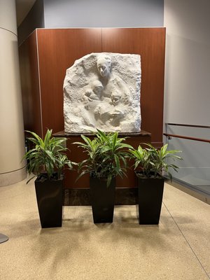 Northwestern Memorial Hospital by null