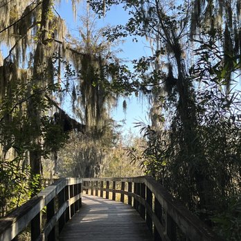 Phinizy Swamp Nature Park - Walking path with overhanging moss - Hiking Near Me - Augusta, Georgia Phinizy Swamp Nature Park - Walking path with overhanging moss - Hiking Near Me - Augusta, Georgia