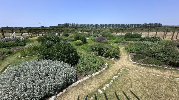 Cherry Point Farm & Market by null