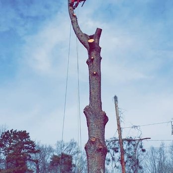 Foothill Tree Experts - Tree Services Near Me Foothill Tree Experts - Tree Services Near Me