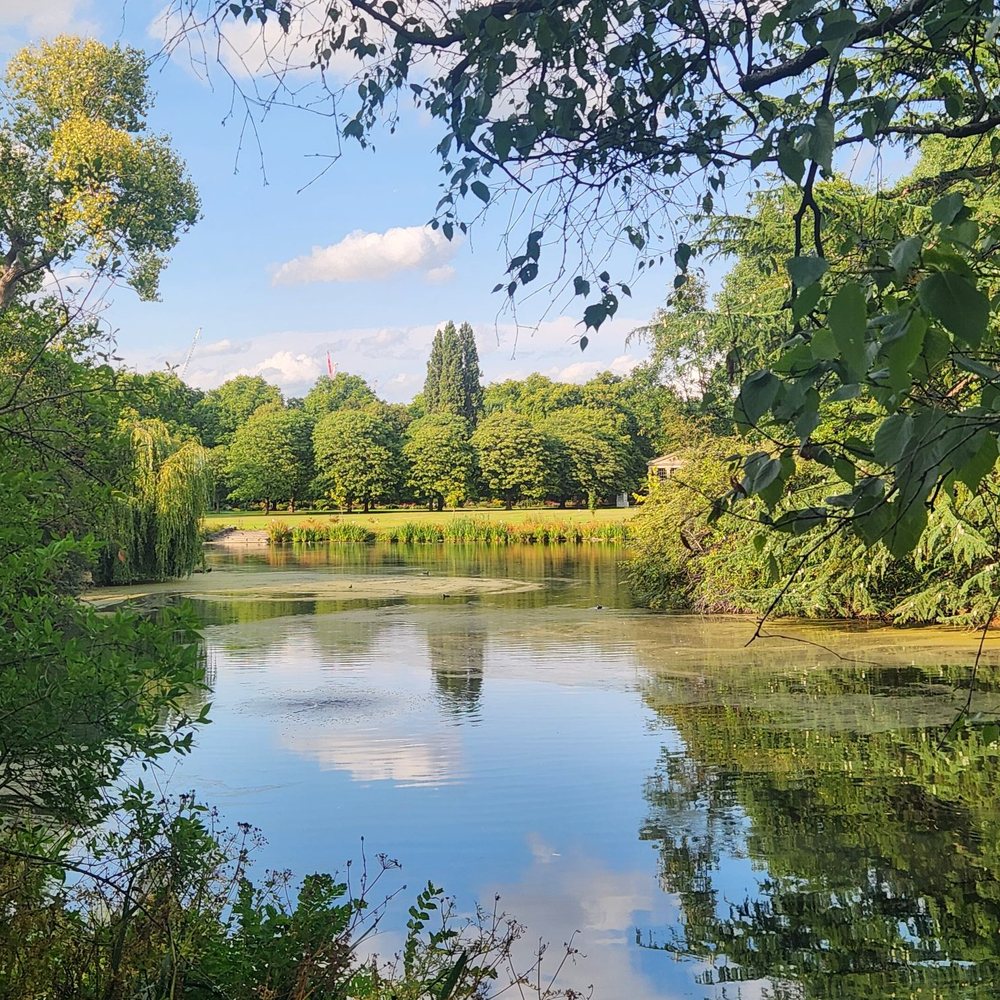 Buckingham Palace - Landmarks & Historical Buildings Near Me - London, XGL