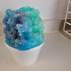 Sno Biz