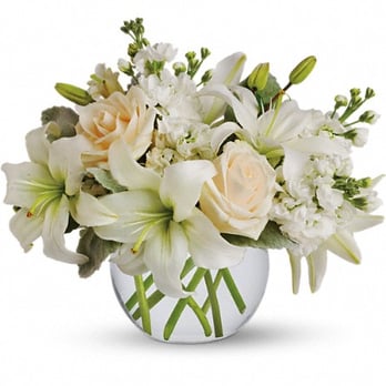 Okotoks Country Florist - Florists Near Me - Okotoks, Alberta Okotoks Country Florist - Florists Near Me - Okotoks, Alberta