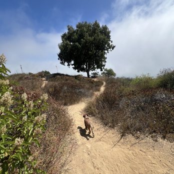 Los Leones Canyon - Hiking Near Me - Pacific Palisades, California Los Leones Canyon - Hiking Near Me - Pacific Palisades, California